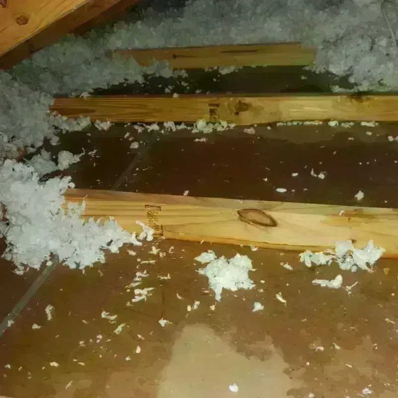 Attic Water Damage in Rockport, ME